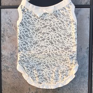 BNWT Boots & Barkley Luxe Gorgeous Lace Dress